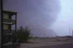 ���� ������ ��� ��� ����